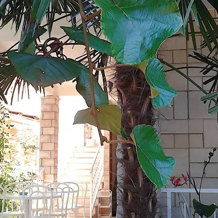Appartement House Danica &