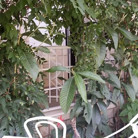House Danica & Appartement Sukošan