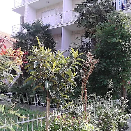 Appartement House Danica & *