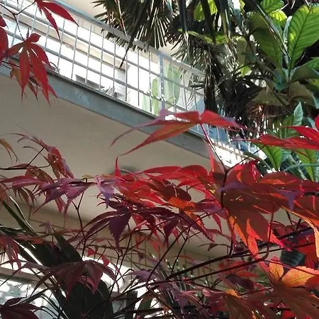 Apartment House Danica & Sukošan