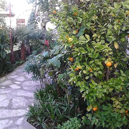 Appartement House Danica & *