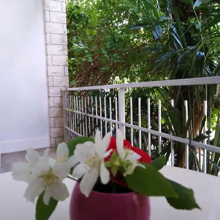 House Danica & Apartment